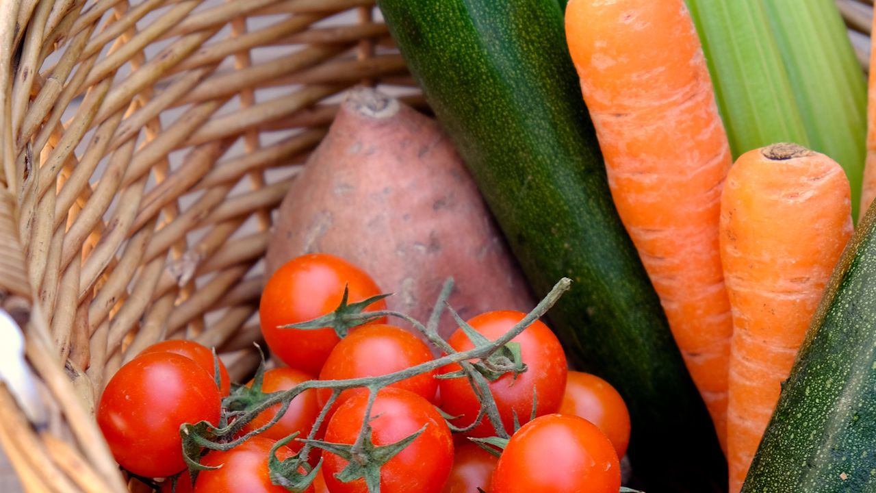 Plant-Rich Diet Linked to Reduced Dementia Risk in Metabolomics Study