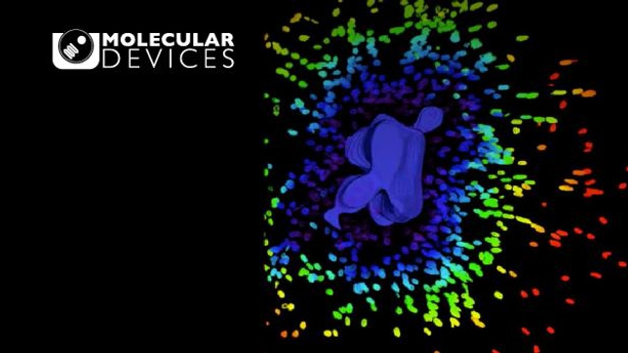 Get New, Physiologically Relevant Insights From 3D Human Tissue Models Quickly, Easily, and Affordably