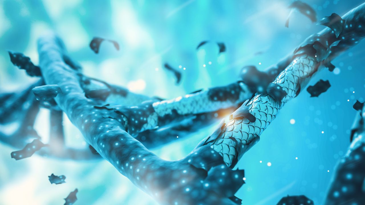 Watching CRISPR-Cas9 at Work in Real-Time