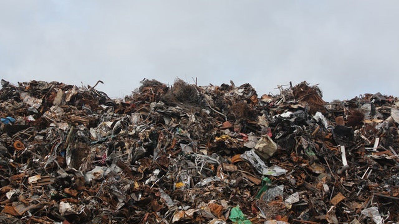 Organic Waste Management Could Be Improved by NMR Technique