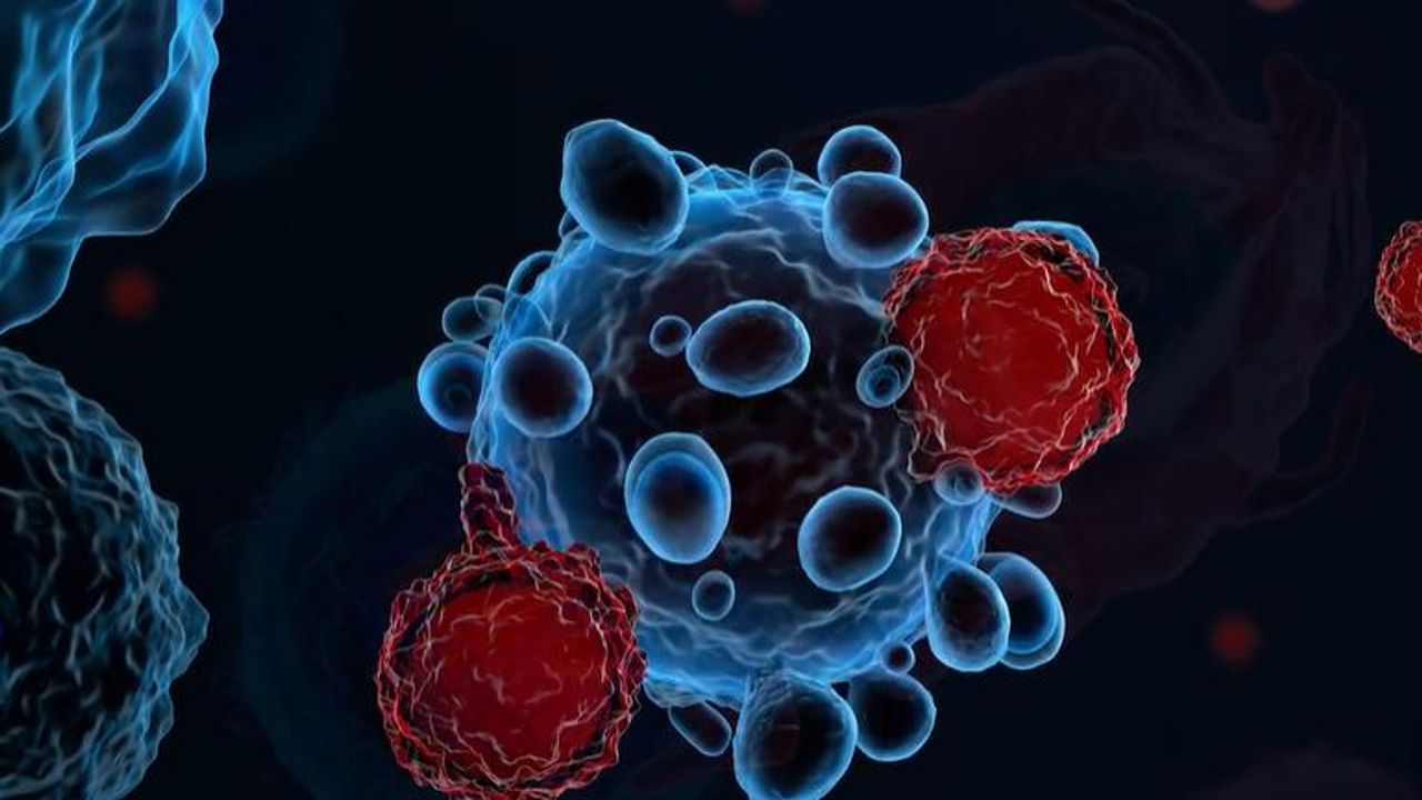 Agents of Change: Tracking Tumor Progression With MALDI Imaging of Glycans