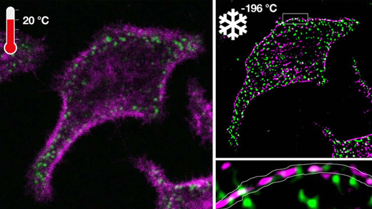 Ultrarapid Cooling Enables Molecular Patterns of Life To Be Observed