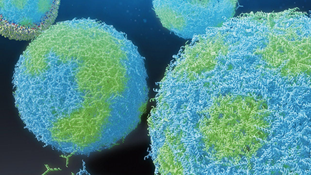 Researchers Manipulate Capsule-Like DNA Structures