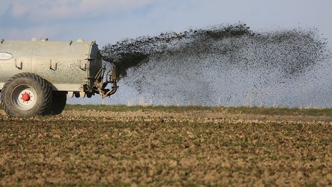 Intelligent Soil Sensors Could Help Farmers Curb Fertilizer Use