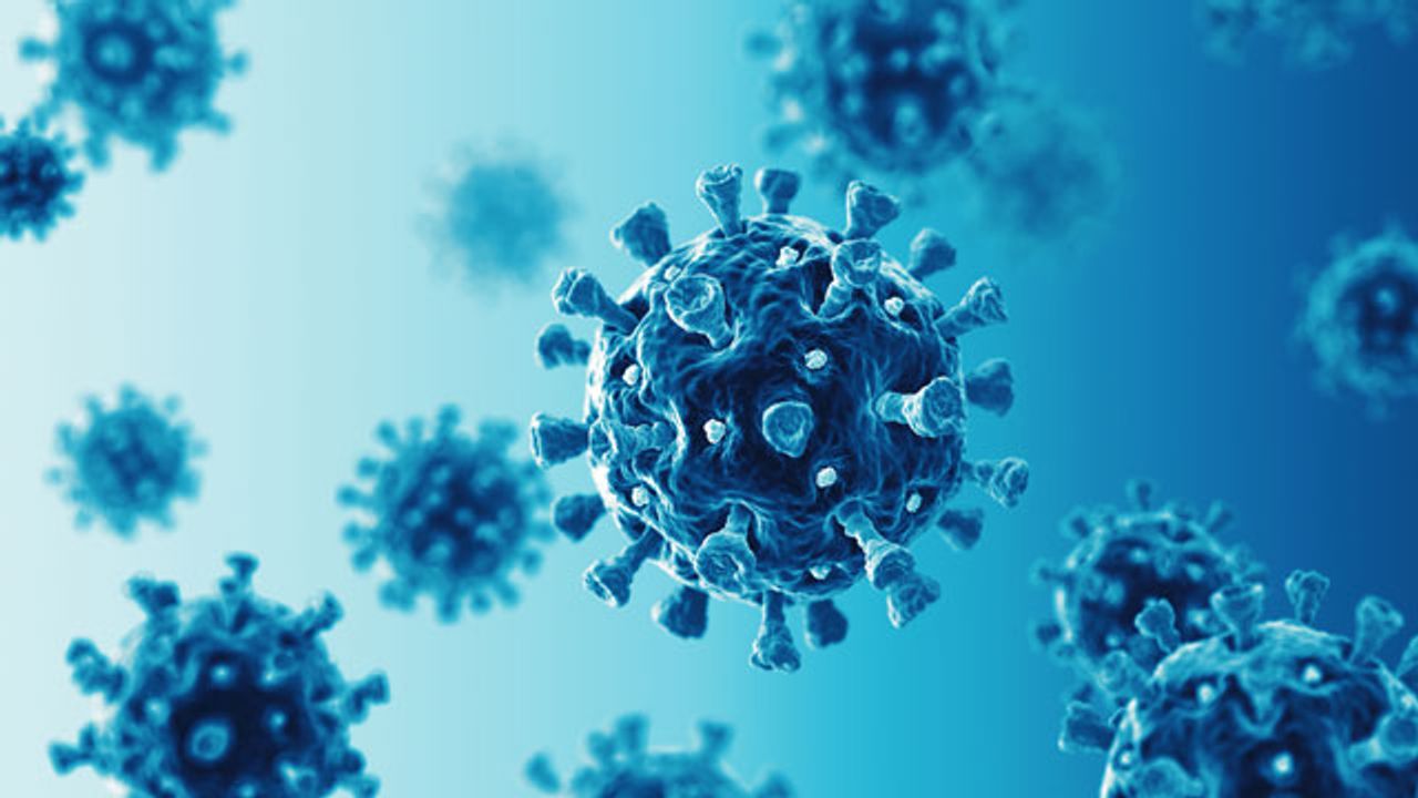 New Platform Developed To Screen Coronavirus Antiviral Compounds