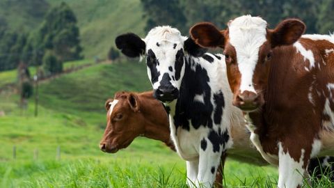 Climate Mitigation Impacted by How We Measure Methane Effects