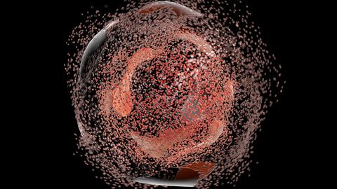 Human Cell Death Complex Visualized for the First Time