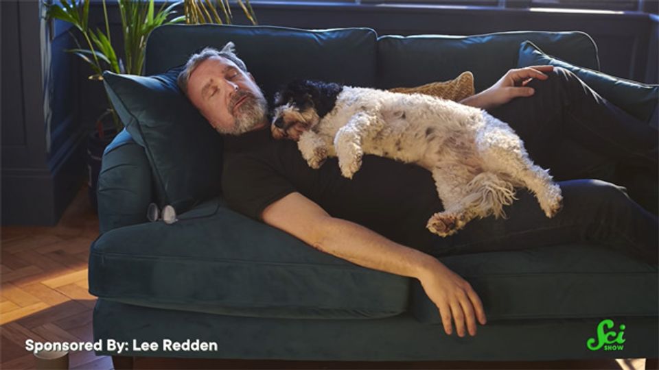 Do You Need a Brain to Sleep? content piece image
