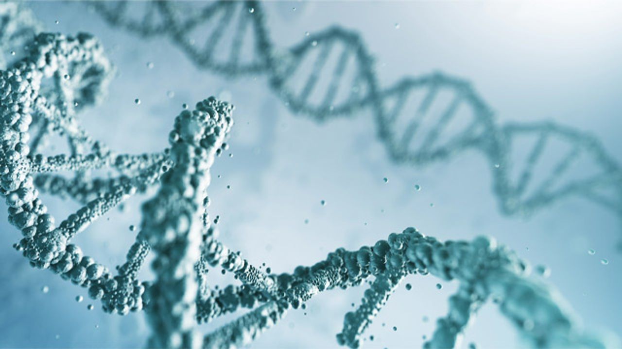 Applications of Whole Exome Sequencing