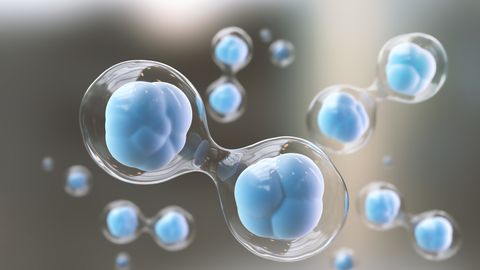First Report on Sickle Cell Gene Therapy Long-Term Outcomes