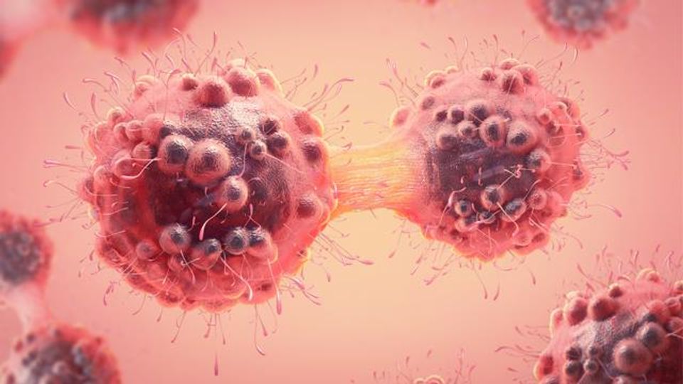 Cancer Cells’ “Self Eating” May Be New Drug Target content piece image