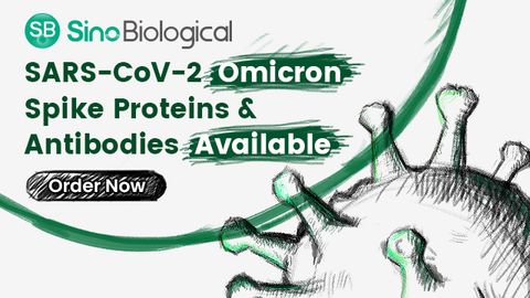 SARS-CoV-2 Omicron Spike Protein and Antibodies Available