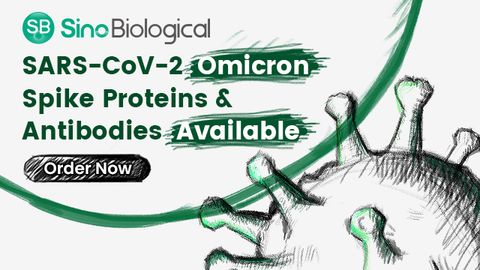 SARS-COV-2 Omicron Spike蛋白和抗体可用