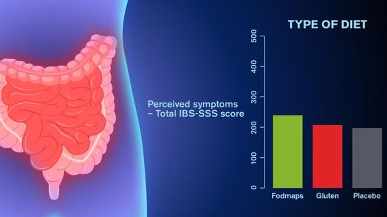 Diet Impacts IBS Less Than Expected