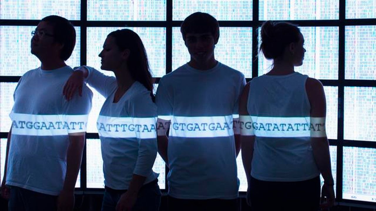 New Tool Maps Genome Sequences to a “Pangenome”