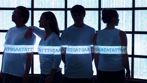 New Tool Maps Genome Sequences to a “Pangenome”