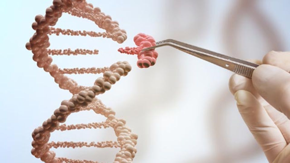 Using CRISPR-Cas9 To Target Fat Cells content piece image