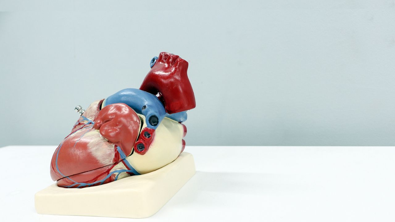 Pilot Trial Targets Cardiovascular Disease Among Black Community