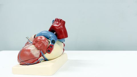 Pilot Trial Targets Cardiovascular Disease Among Black Community