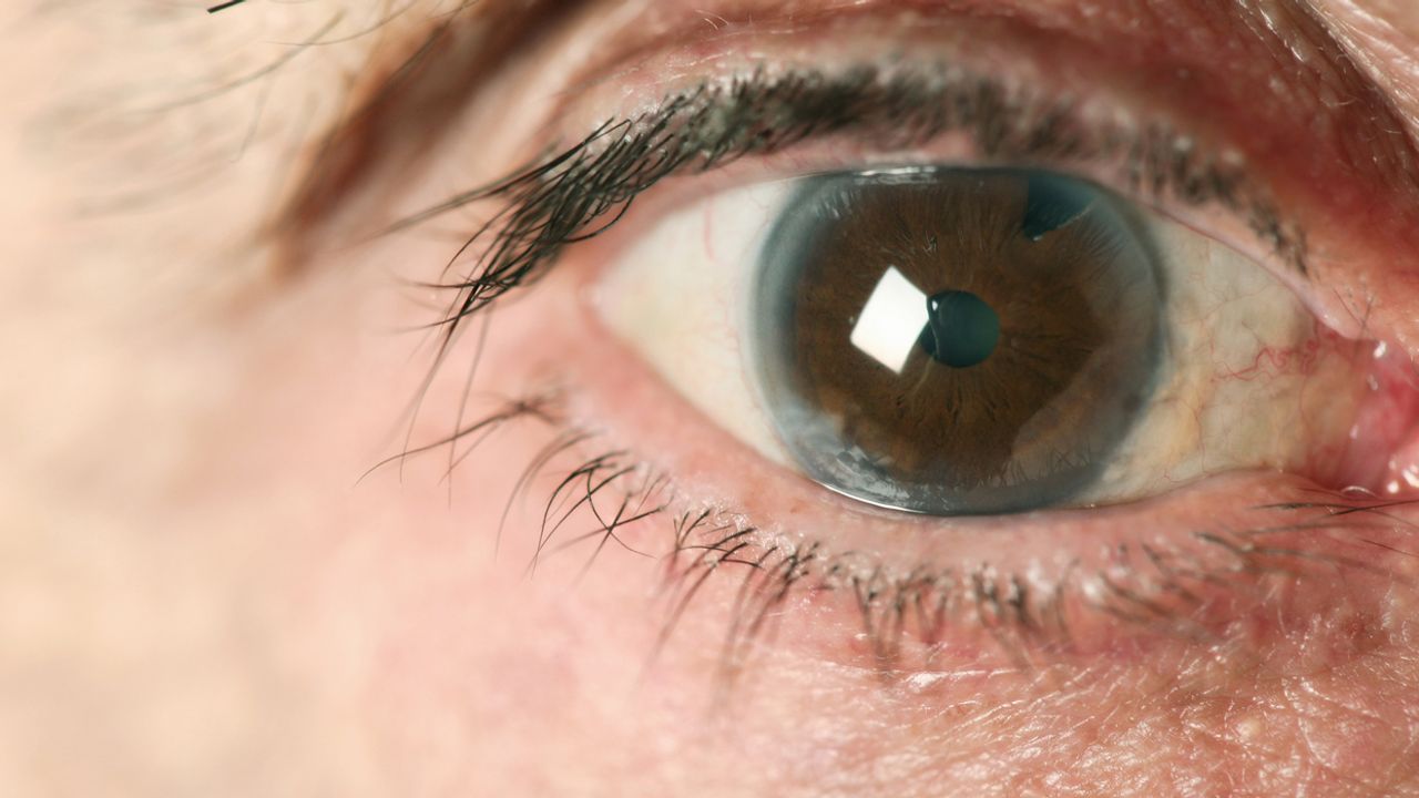 Neurochemical Behind Visual Stimulation Identified