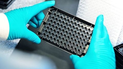 Private Label & Custom Manufactured Microplates