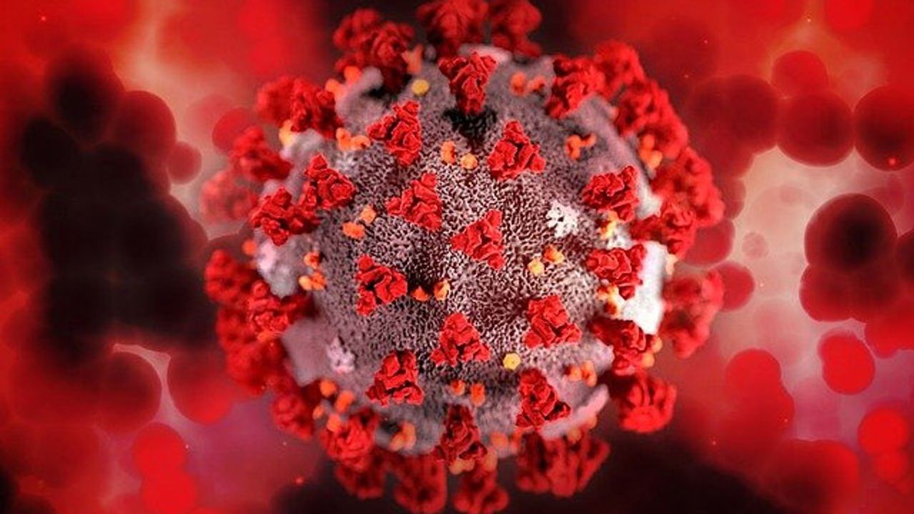 Researchers Pinpoint Indicators of Severe COVID