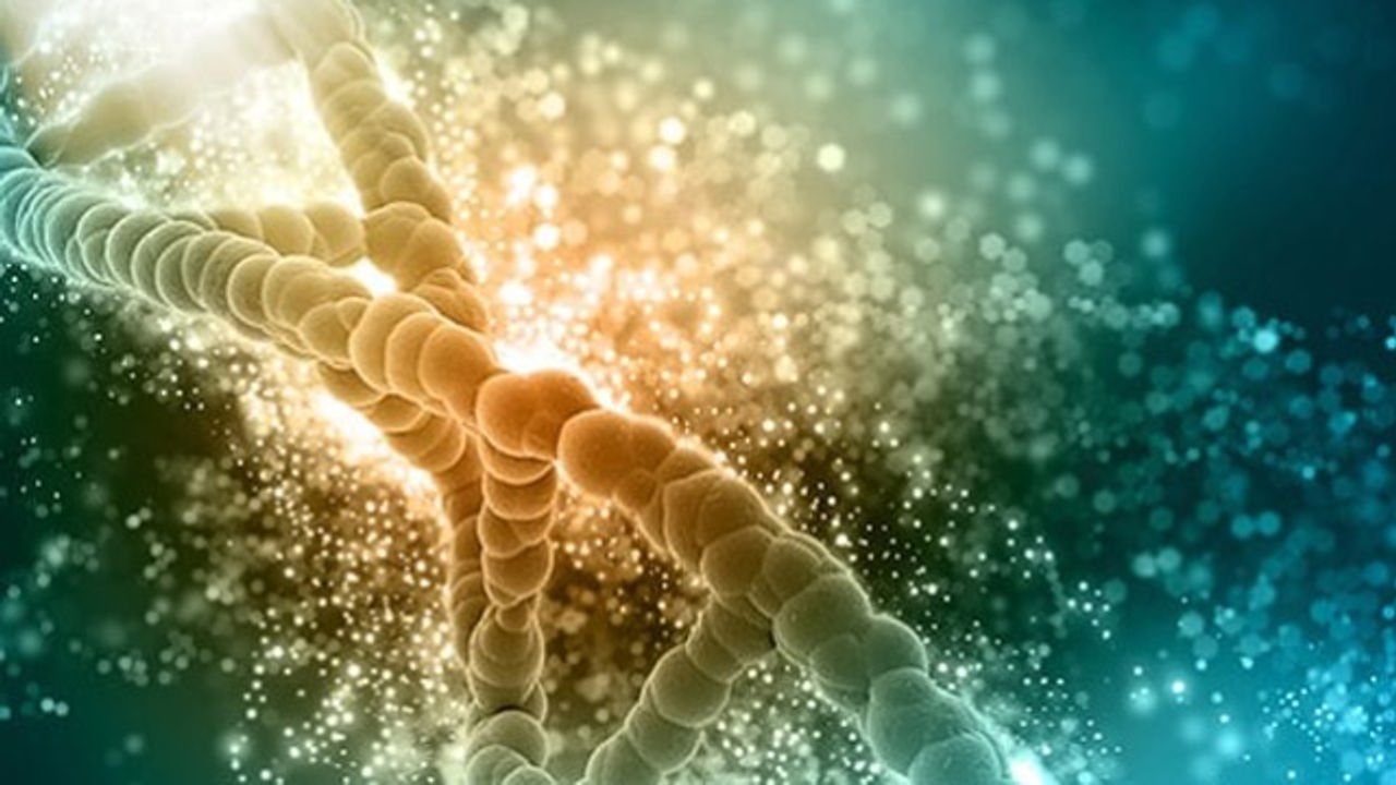 Services to Accelerate Genome Editing Research