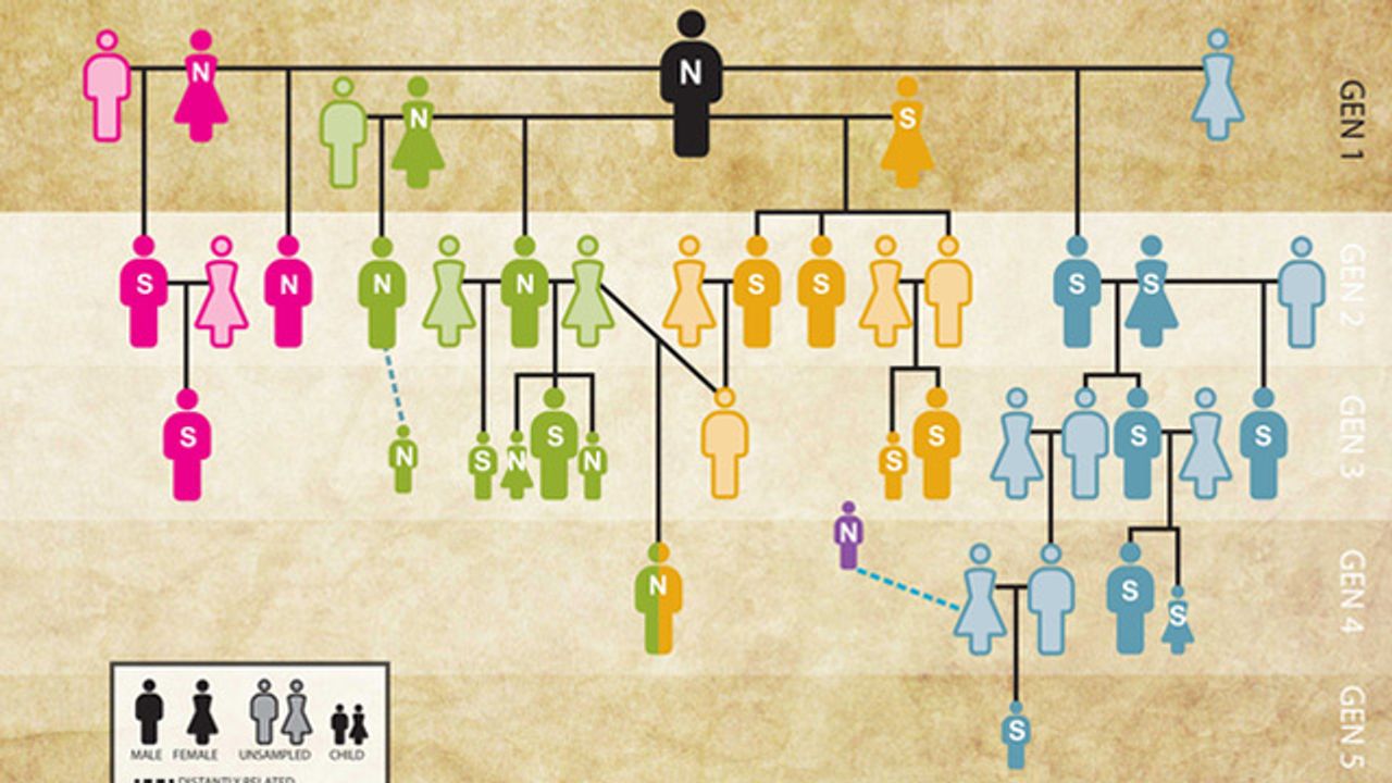 Ancient DNA Reveals the World’s Oldest Family Tree