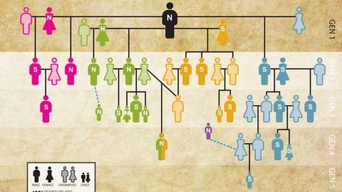 Ancient DNA Reveals the World’s Oldest Family Tree