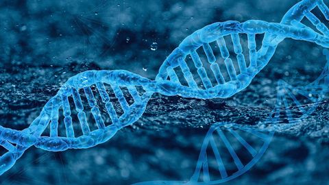 New Insights Into When Modern Mammals Evolved