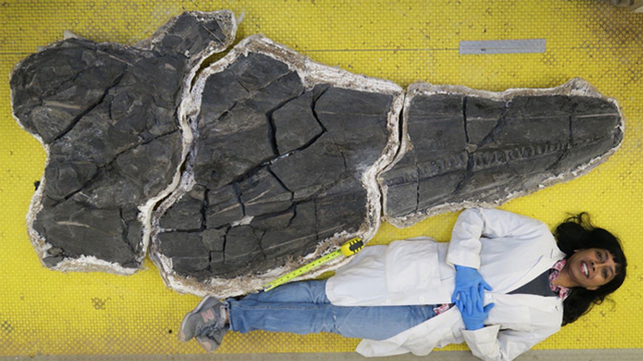Earth's First Giant