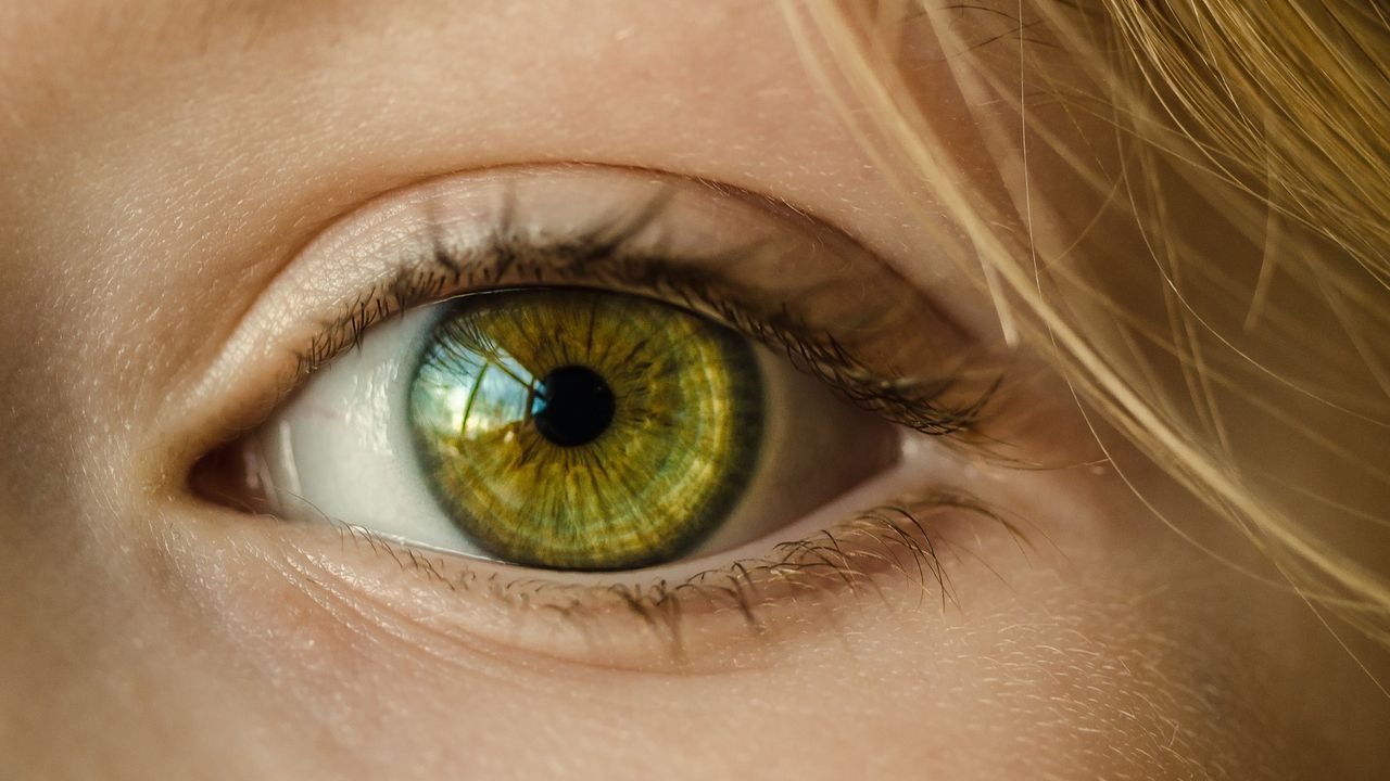 New Structural Insights Into an Important Component of the Eye