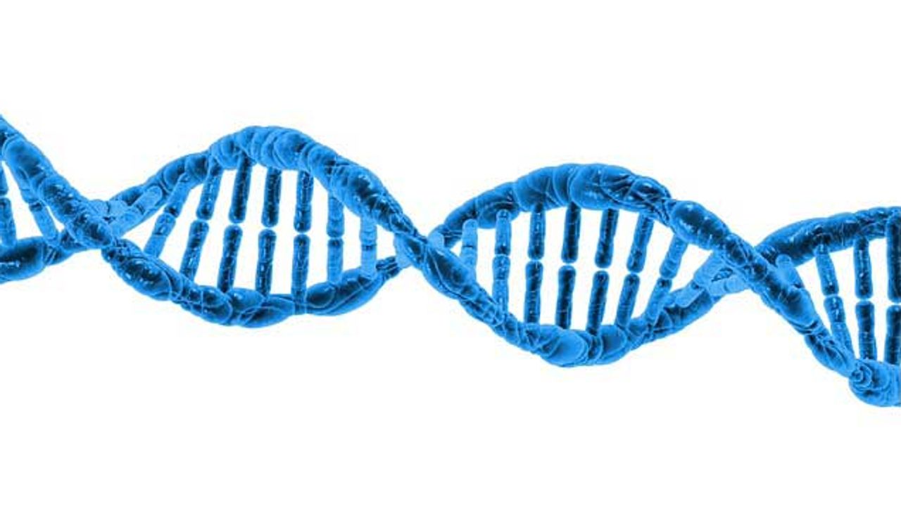 The Role of TET Enzymes in Genomic Stability and Cancer