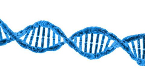 The Role of TET Enzymes in Genomic Stability and Cancer