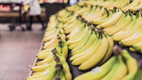 Environmentally Friendly Coating To Protect Fruit and Vegetables Developed