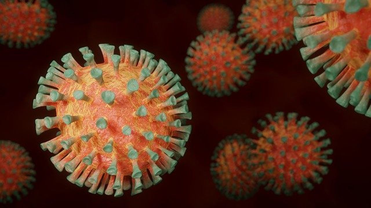 Self-Attacking Antibodies Can Be Triggered by COVID-19