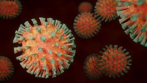 Self-Attacking Antibodies Can Be Triggered by COVID-19