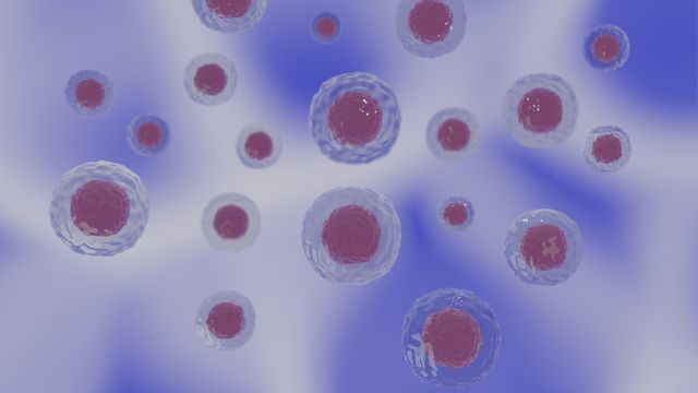 Model of the Yeast Nuclear Pore Complex Developed content piece image 