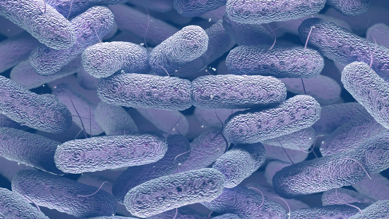 A New Approach to Treating “Superbugs”