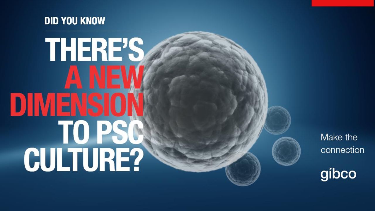 Considerations for Efficient Scale-Up of PSCs in Suspension Culture