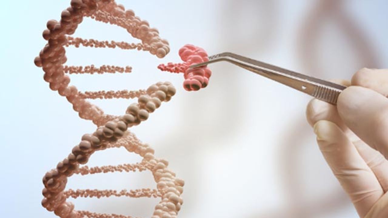 Using Retrons for More Efficient Genome Editing