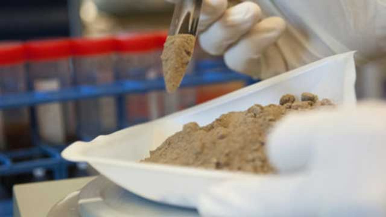 New Compound Could Help To Defeat Multidrug-Resistant Bacteria