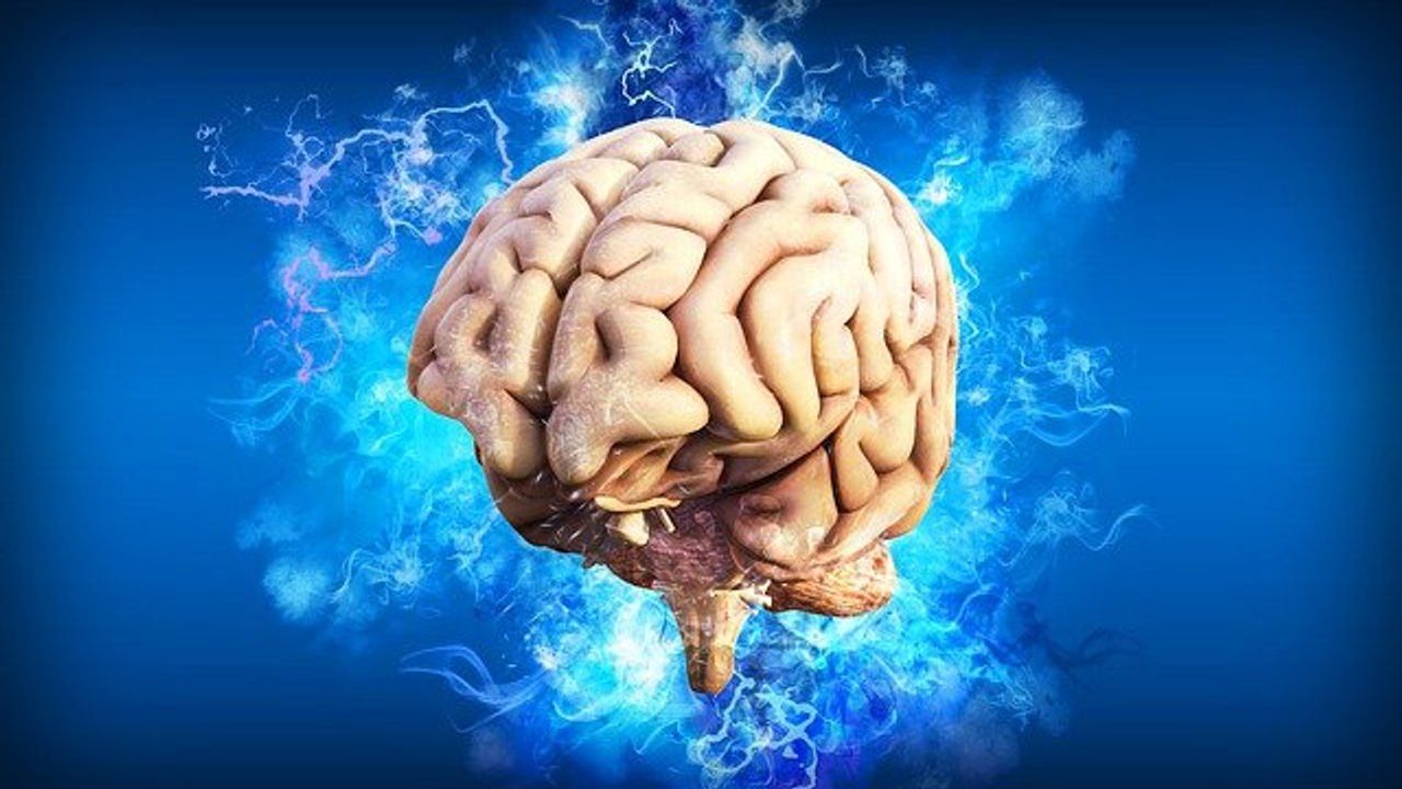 Alzheimer's Risk Genes Impair the Brain's Natural Protective Mechanisms