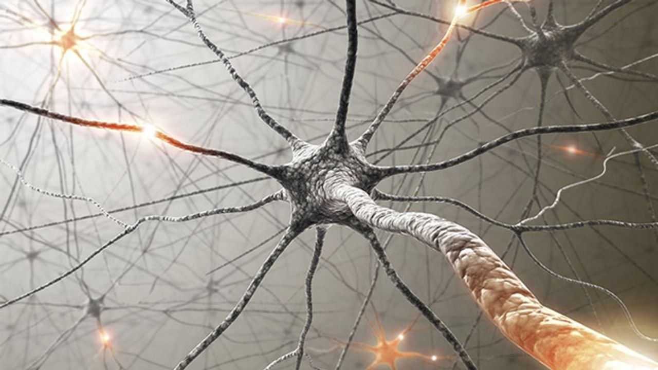 Exploring Neural Circuits and Chemotherapy's Side Effects
