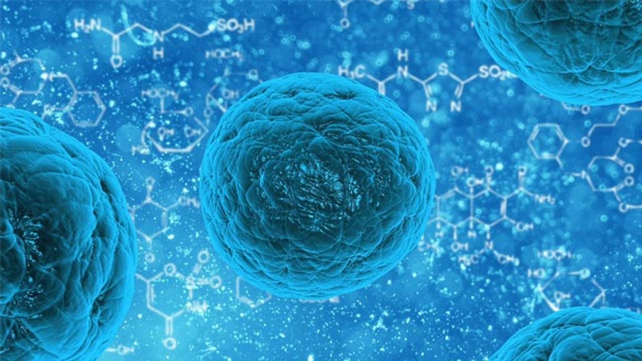 New Antitumor Compounds Designed To Act on Cancer Stem Cells