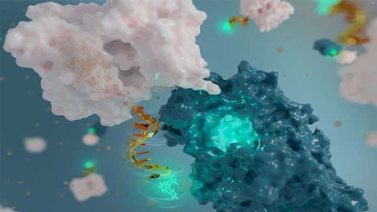 DNA Antenna Could Help To Discover Protein Drug Targets