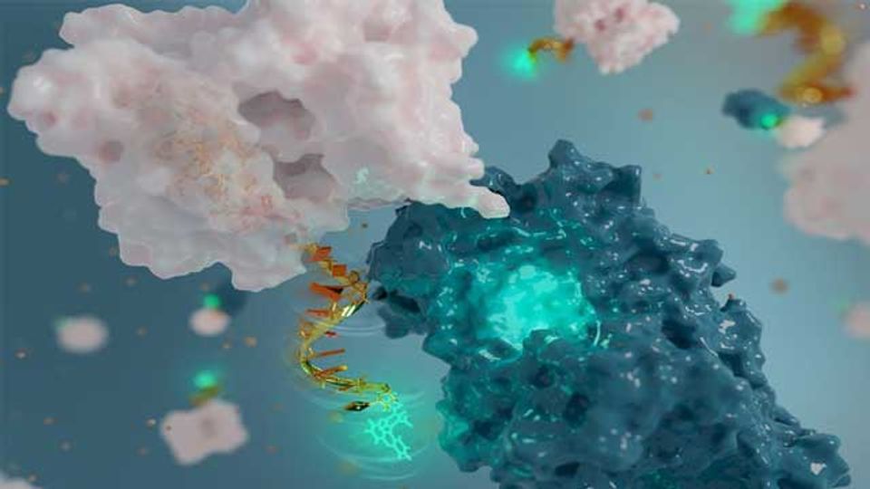 DNA Antenna Could Help To Discover Protein Drug Targets content piece image