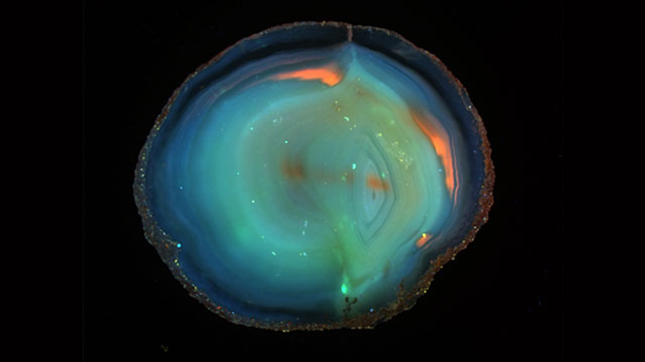 Innovative Solutions for Accurate Western Blot Imaging