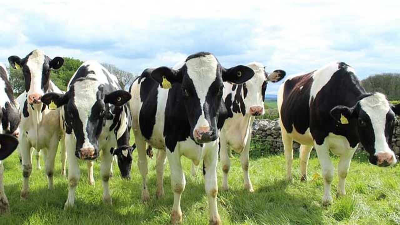 Curbing Methane Emissions With Dirt?