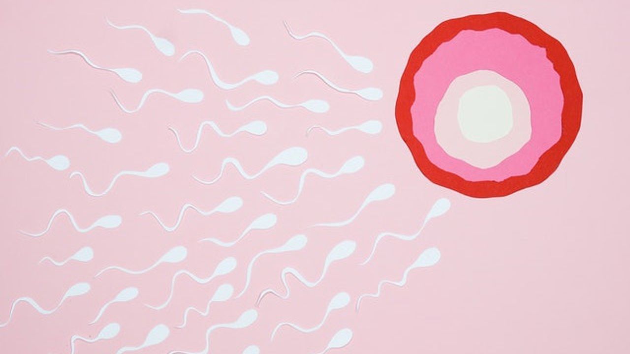 New Genetic Mechanism Can Cause Severe Forms of Male Infertility